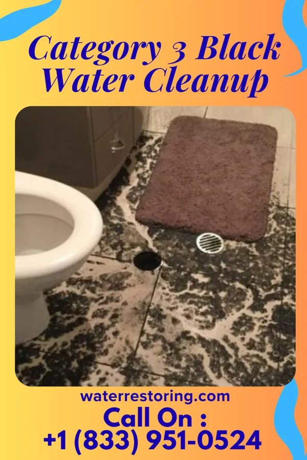 Category 3 Black Water Cleanup in Gillsville, GA
