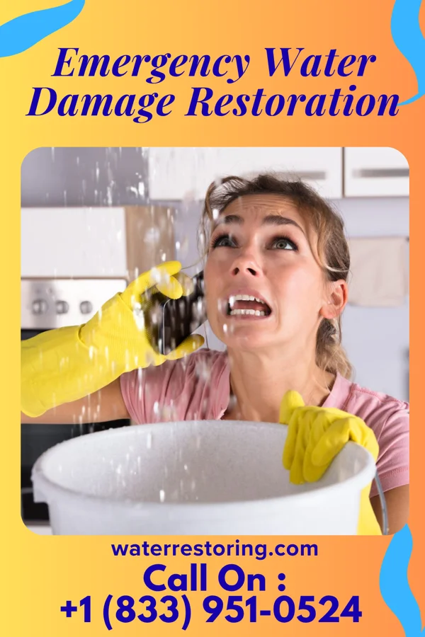 Emergency Water Damage Restoration in Gillsville, GA