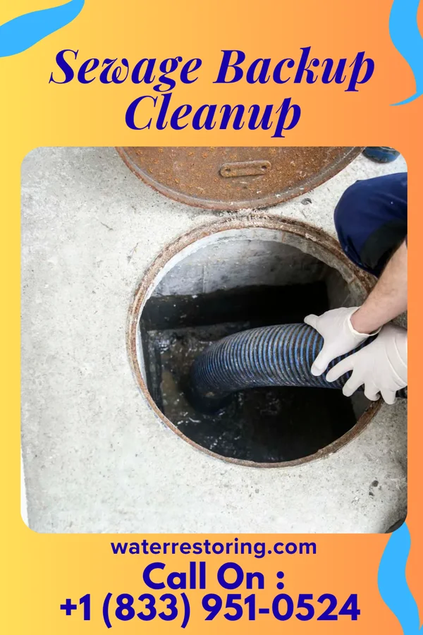 Sewage Backup Cleanup in Gillsville, GA