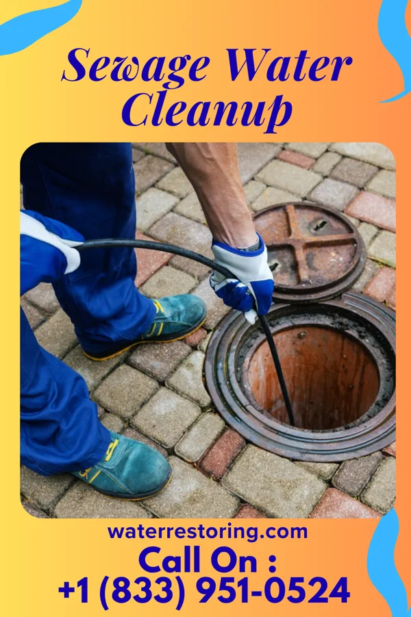 Sewage Water Cleanup in Gillsville, GA