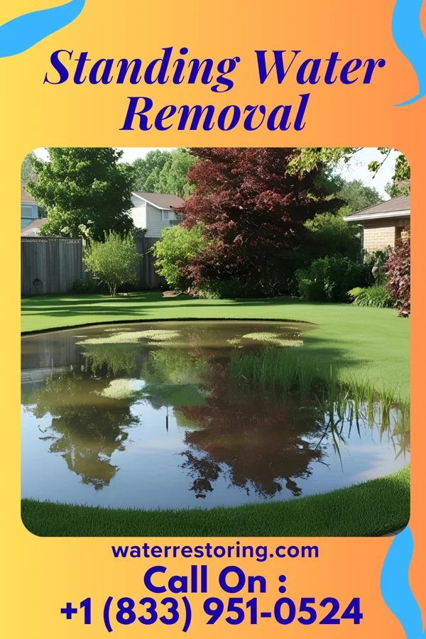 Standing Water Removal in Gillsville, GA